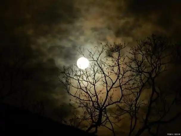 唐代才子的一首赏月诗,语言清丽,意境空灵,美得醉人