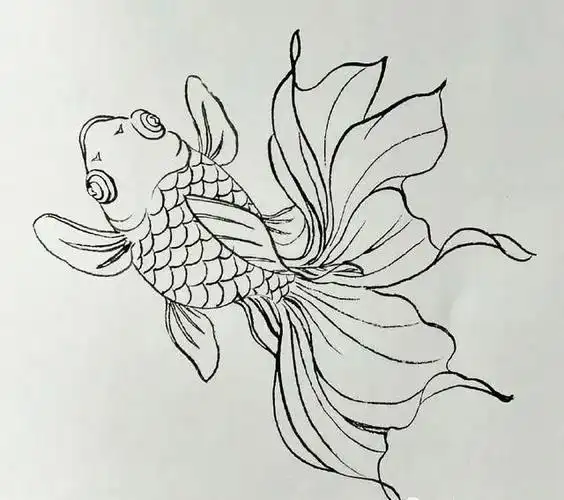 白描鱼画选页