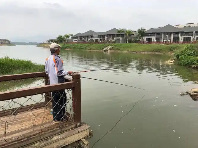 老叟在湖畔钓鱼