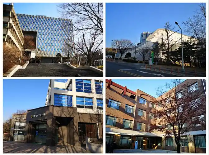 我们去各种排名榜上稳居韩国大学第一位的首尔大学.