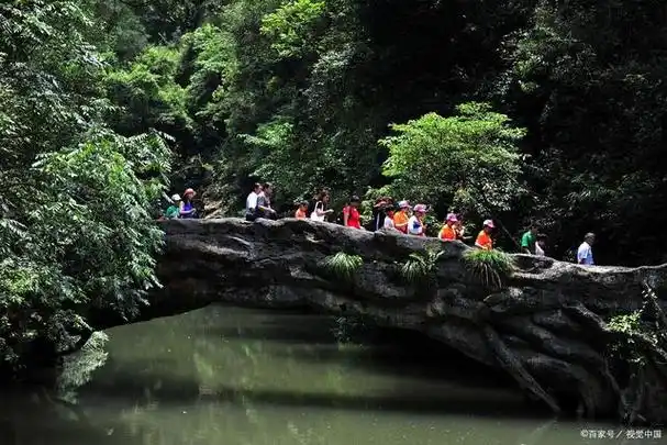 武夷山国家森林公园游玩攻略