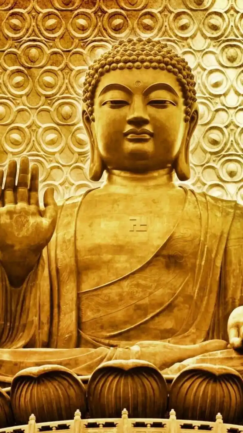 阿弥陀佛四个字代表无量光,无量寿.心怀慈悲,就会大放光明,积 - 抖音