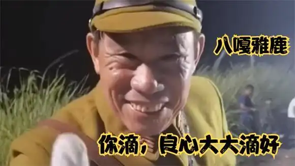 盘点那些一开口,就是大佐级别的名场面,呦西,八嘎雅鹿-音乐视频-搜狐