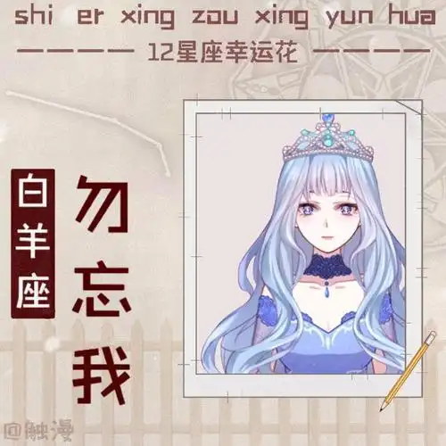 天蝎座:玫瑰(花语:爱与美)