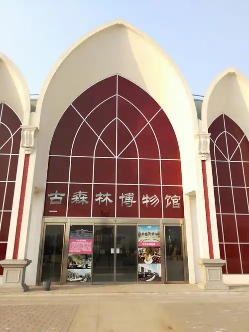 带你走进《古森林博物馆》 欣赏木材的活化石