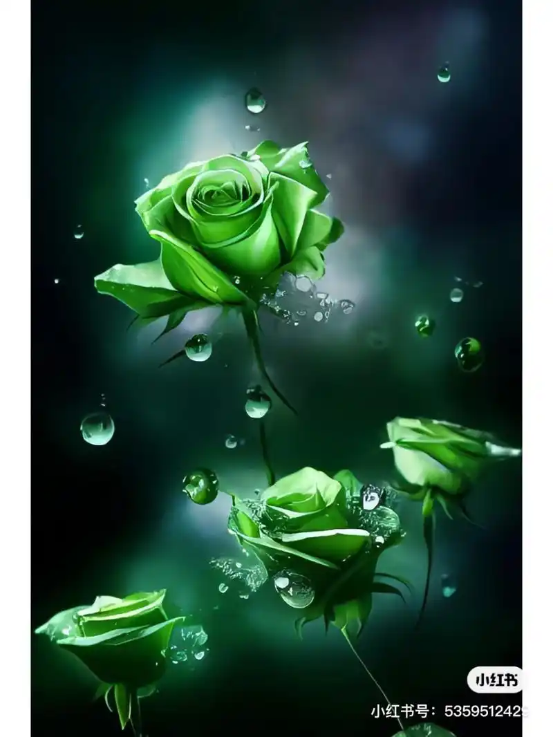 1,一绿色玫瑰花语叫纯真 不同颜色的玫瑰花有着不同的花语意义,那么