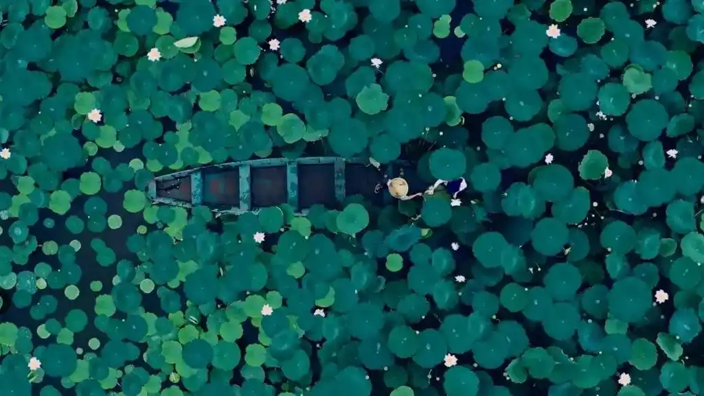 北京冬奥会开幕式二十四节气壁纸(无字版) - 抖音