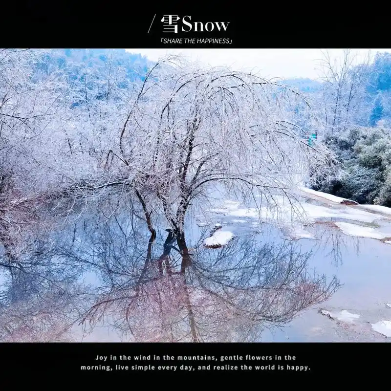 独山森林公园雪景  白雪纷飞舞满天,独山公园裹银装. 松枝挂 - 抖音