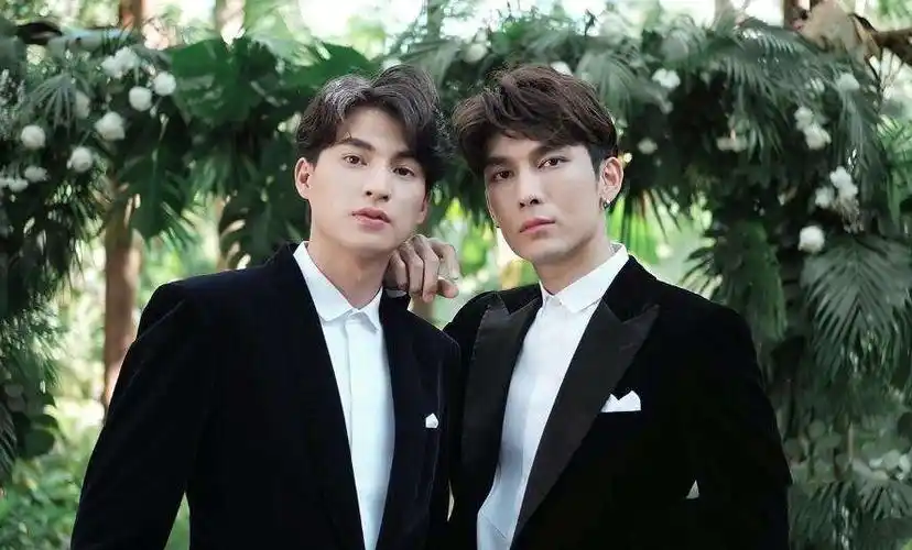 吹爆泰剧与爱同居我磕的cp是真的