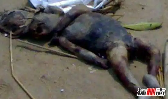 揭秘最真实的水鬼图片,水猴子强迫人落水当替死鬼