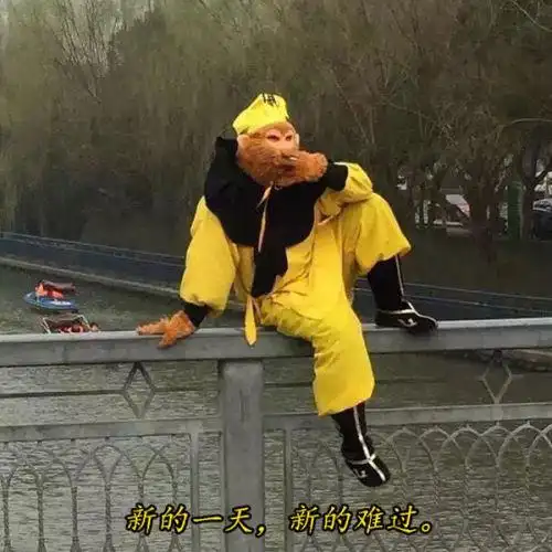 孙悟空背着手站着.配字是有钱真好.谢谢