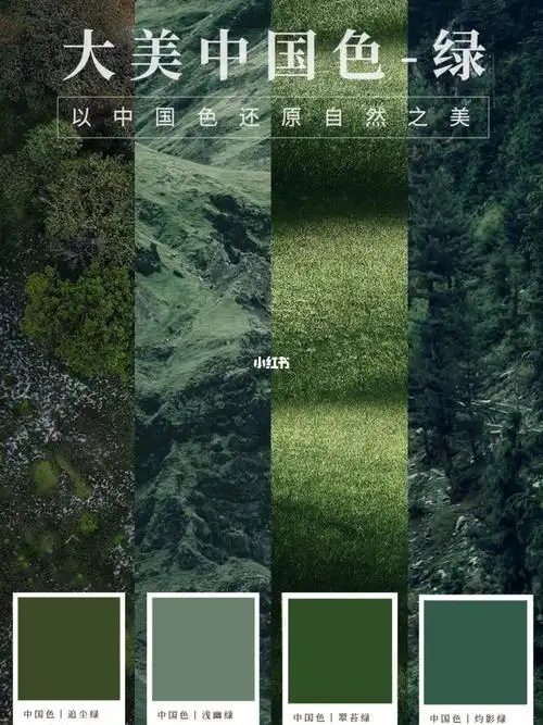 皆是世人眼里的绿色,绿,是诗人笔下的"绿竹入幽径,青萝拂行衣";亦或
