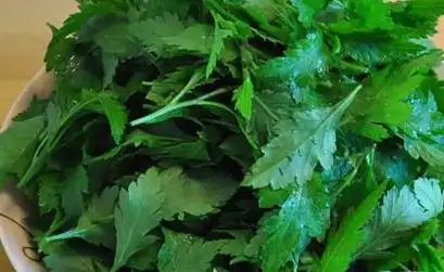 9种野菜的9种强大治病功效