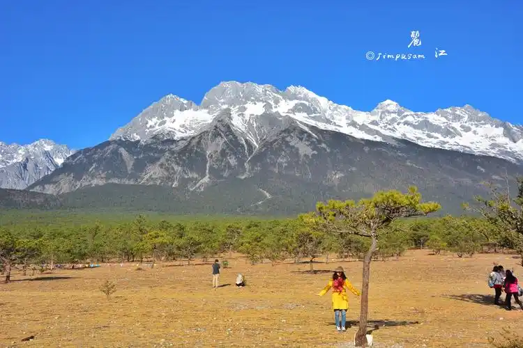 【携程攻略】丽江甘海子景点,甘海子是玉龙雪山东面的一个开阔草甸,甘