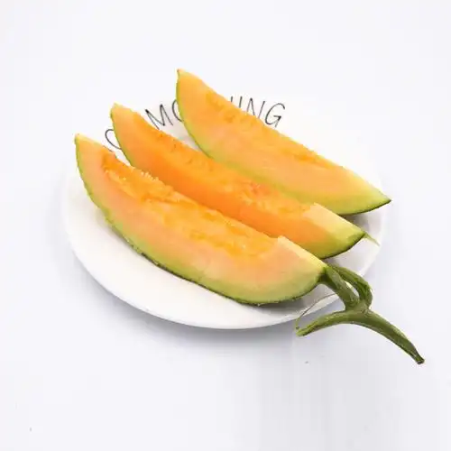 正宗新疆西州蜜哈密瓜水果新鲜采摘甜脆多汁包