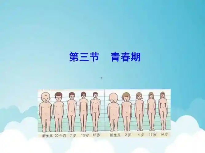 七年级生物下册413青春期课件新版新人教版ppt