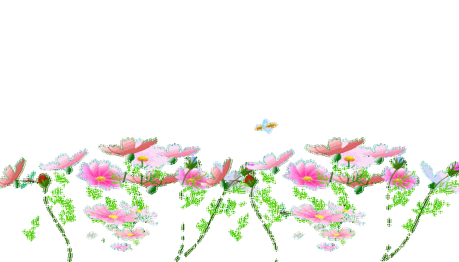 = = = ·花草·盆景·树木· = = = 【动态·小图】