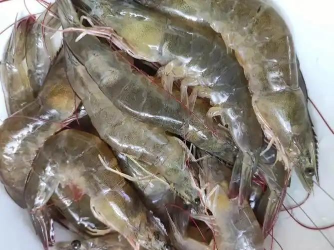 盐焗大虾73松下蒸烤箱