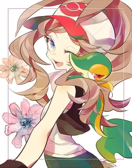 宠物小精灵 口袋妖怪 神奇宝贝 透子