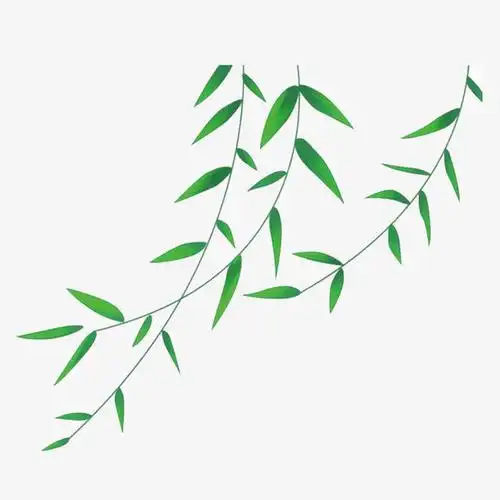 和风吹拂的柳枝插画