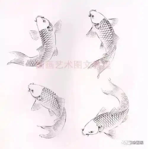 五色鲤鱼的画法教程,画鱼的构图技法详解!_手机搜狐网