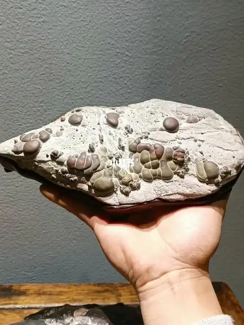 正宗灵璧石,大美珍珠石,玉化红彩.#灵璧石  #家居摆件  #桌面摆件