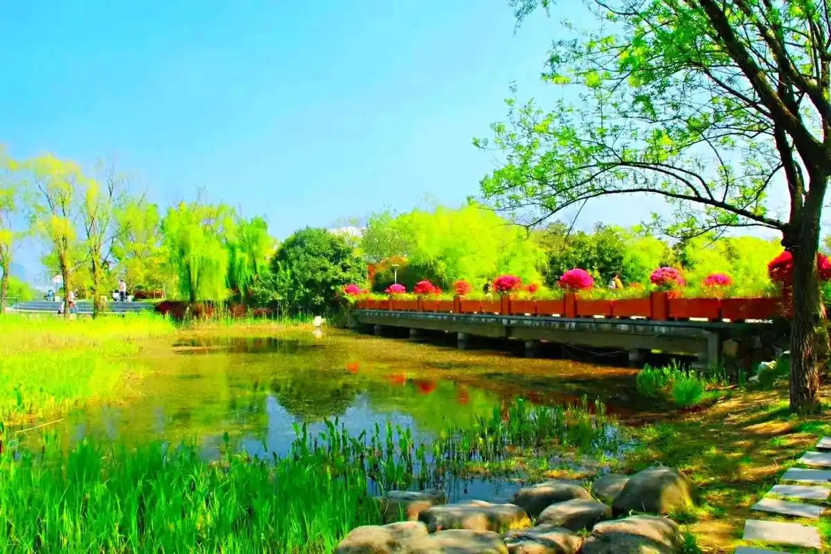 长广溪国家湿地公园:自然与和谐的赞歌 在江南的烟雨中,无锡长广溪