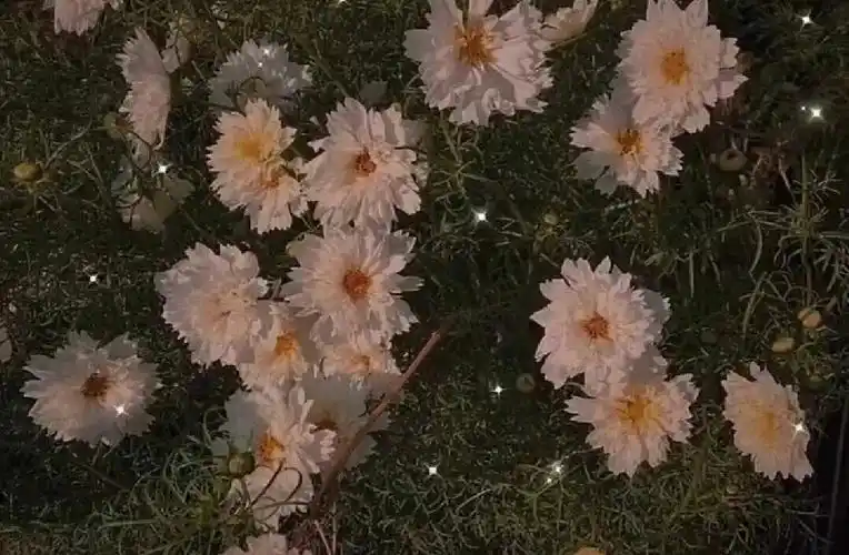 够ins,奈斯 - 堆糖,美图壁纸兴趣社区