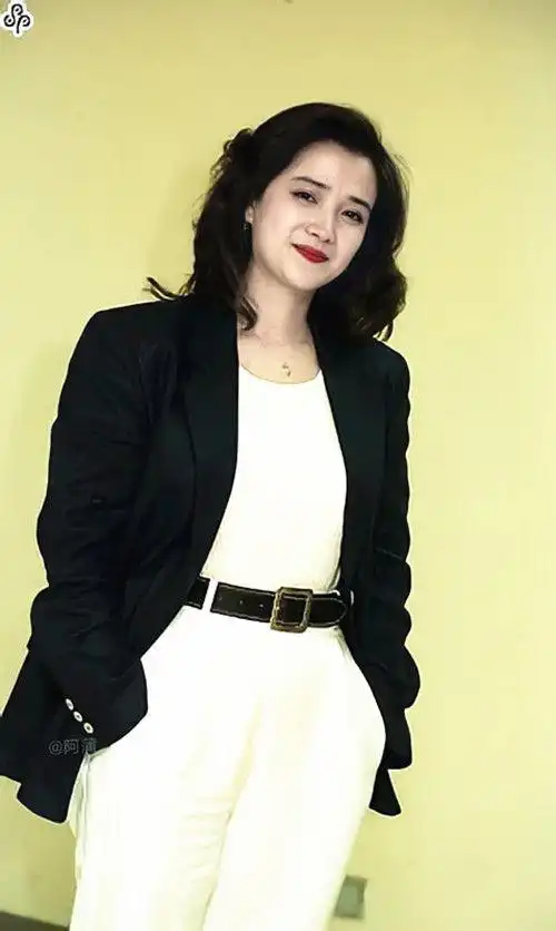 美人如花隔云端古典穿搭的时尚指南惊艳了90年代何晴