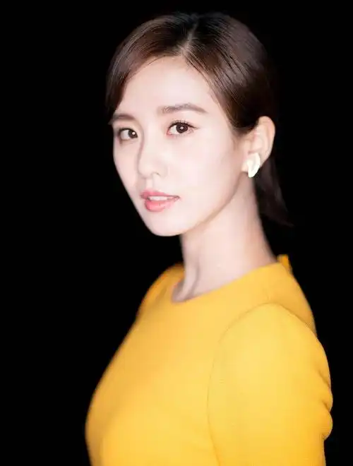 为何刘诗诗显得高级,刘雯显得大气