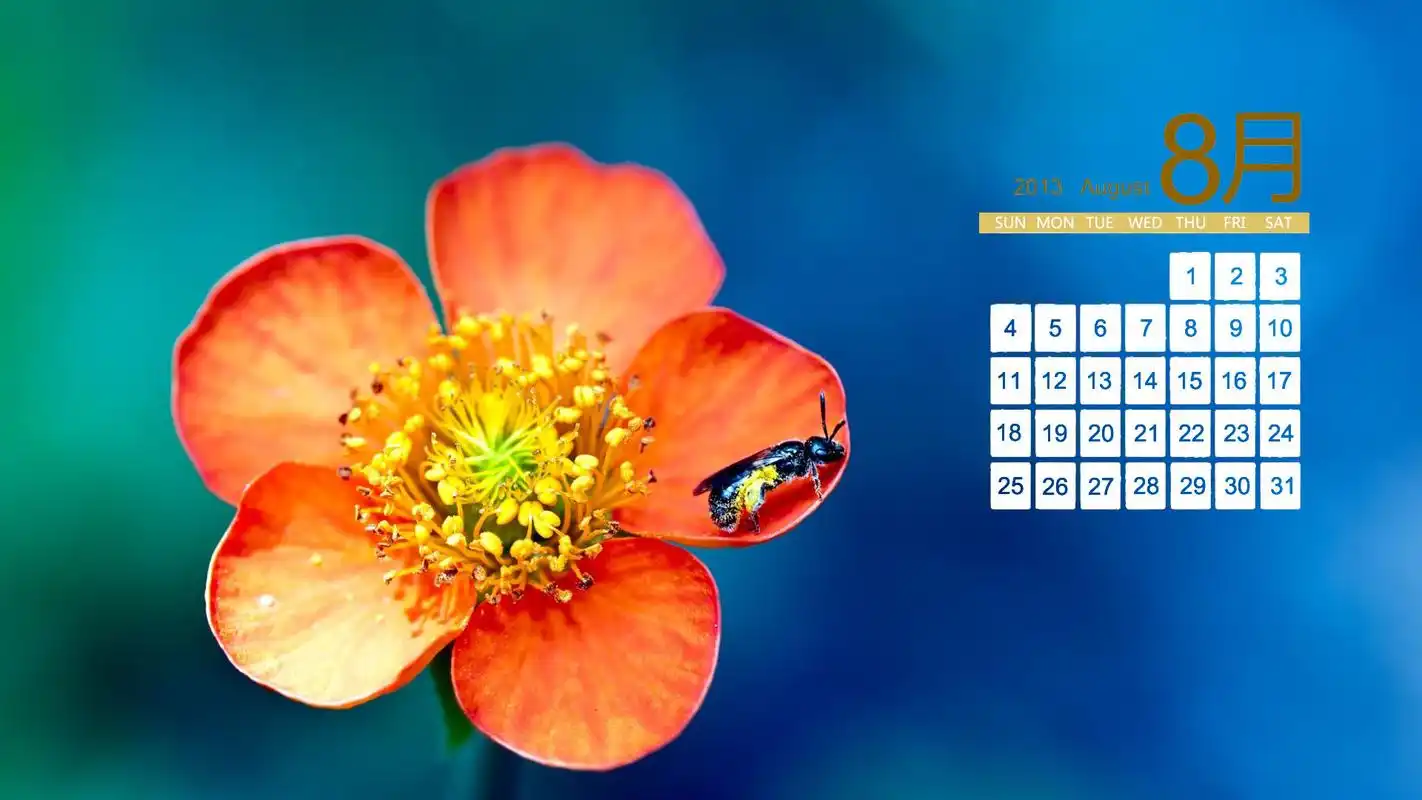 8月日历桌面之温馨清新宽屏壁纸