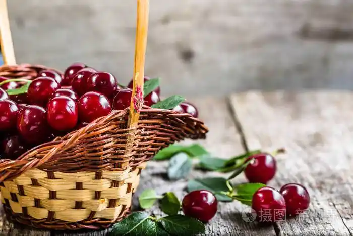 在篮子里的新鲜樱桃果园生产农夫市场上成熟的果实