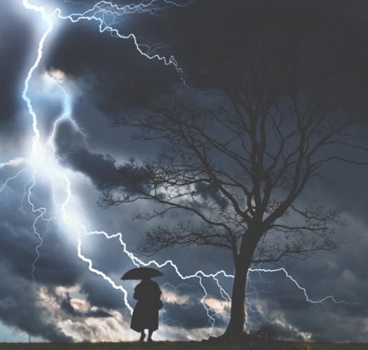 一场暴风雨过后的作文