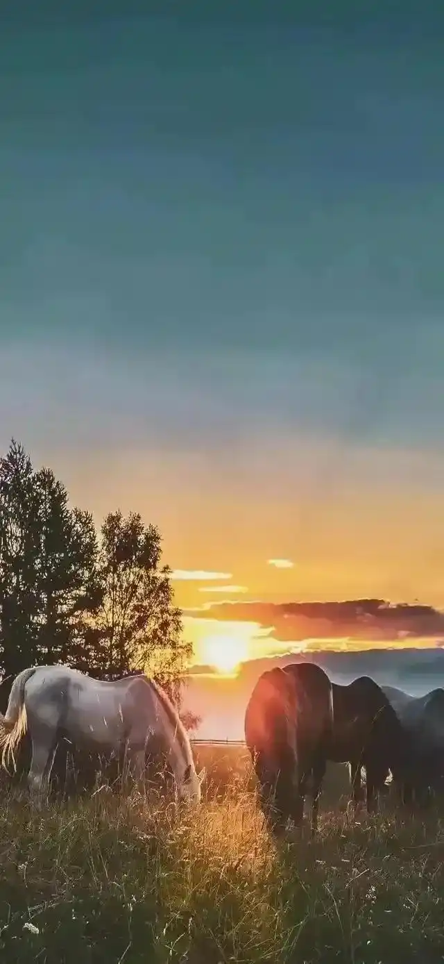 风景壁纸|好山好水好风光,景色悦人,让你尽情地拥抱大自然