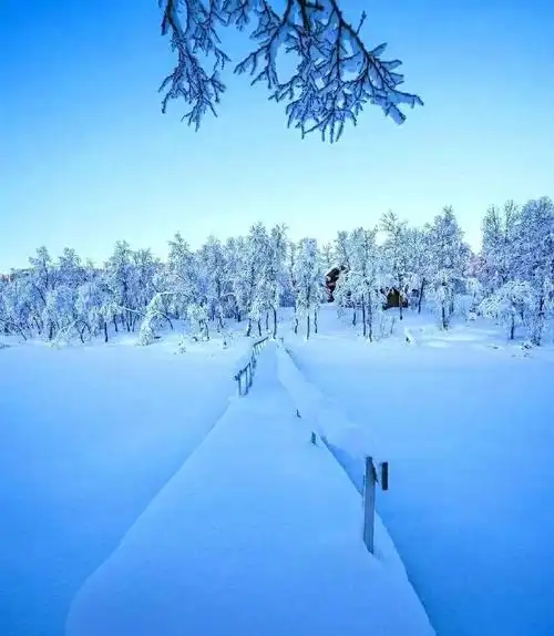 冬天该有的样子##雪景美如画