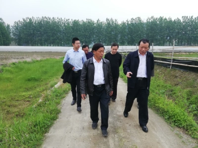 李胜强调研黄冈市农民合作社发展工作