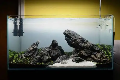 90cm青龙石造景草缸图片欣赏