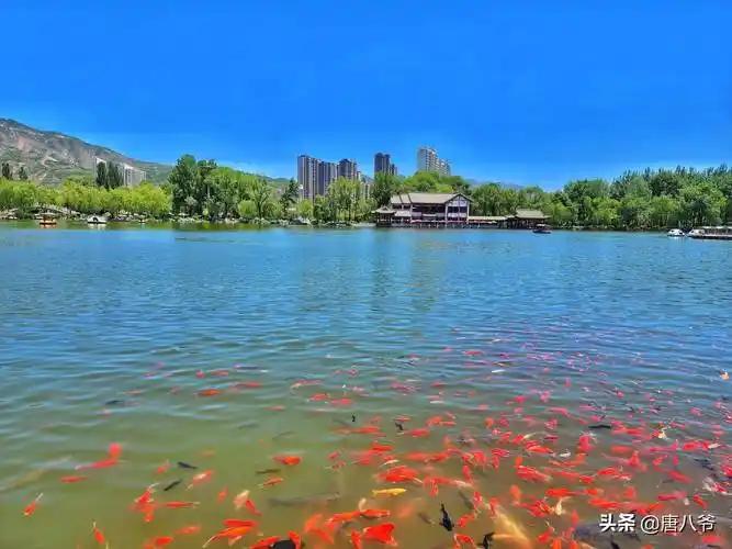 是静和动的搭配,单调与精彩的结合,也就组成了这最美的风景,使人神清