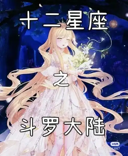 十二星座之斗罗大陆2