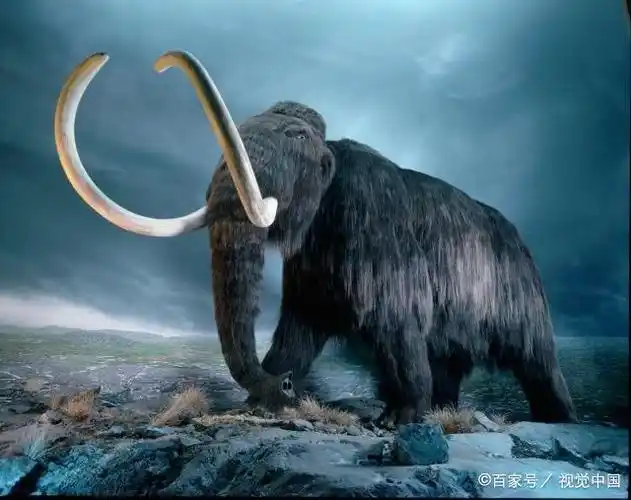 万年前的地球大浩劫,埋葬了史前动物猛犸象,又留下了什么呢?