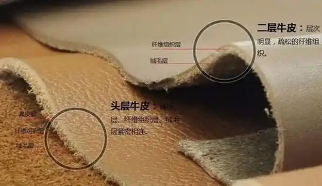 教你鉴别头层牛皮和二层牛皮