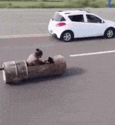 非洲黑叔叔是怎么飙车的?