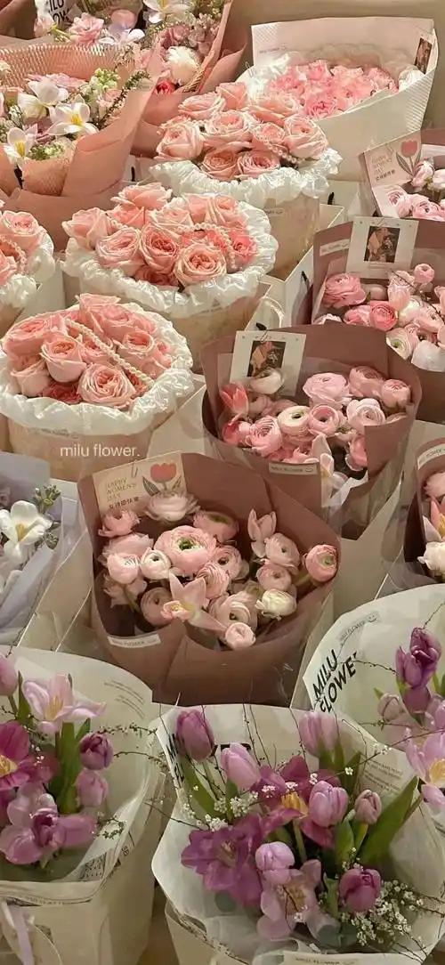 壁纸| 高级感ins风壁纸