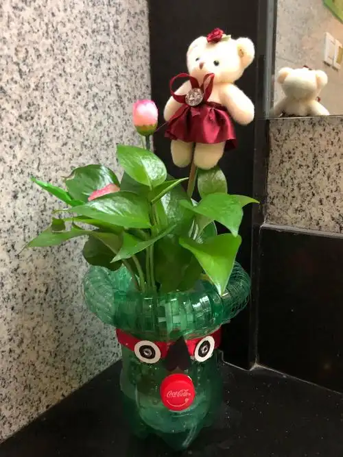 废物利用,小创意饮料瓶子做的小盆景,(副本)