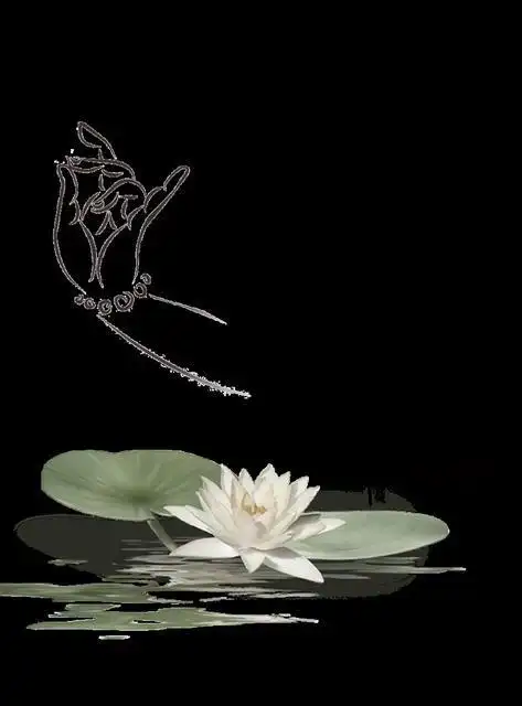 静心图片(致自己心静的句子)