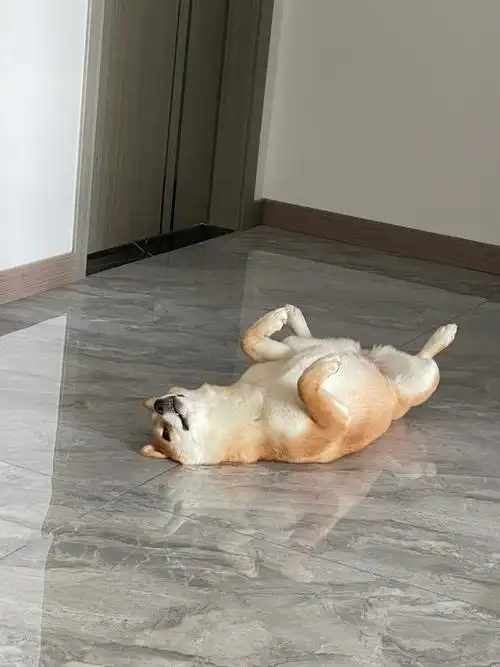 四仰八叉的睡翻来覆去的睡