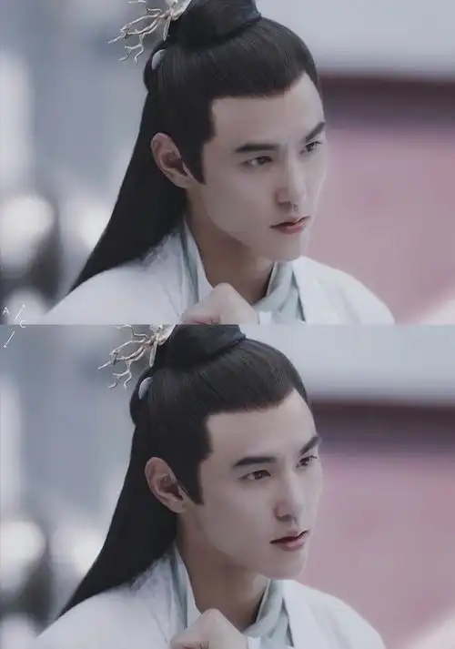 古装 古风 男 长孙无极 阮经天 电视剧扶摇 公子世无双