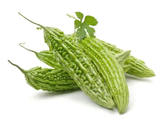 白色背景上的苦瓜