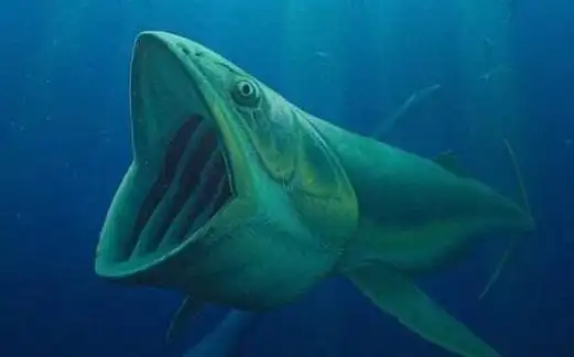 远古海底最恐怖的生物