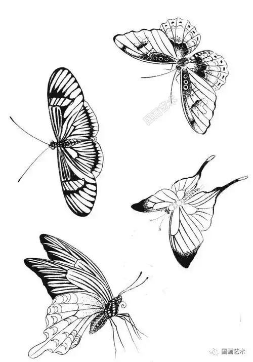 白描《百蝶画谱》选页欣赏(1)